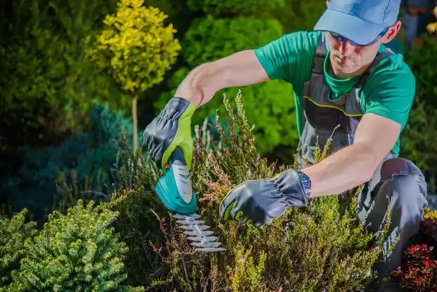 landscaping services South Wallins
